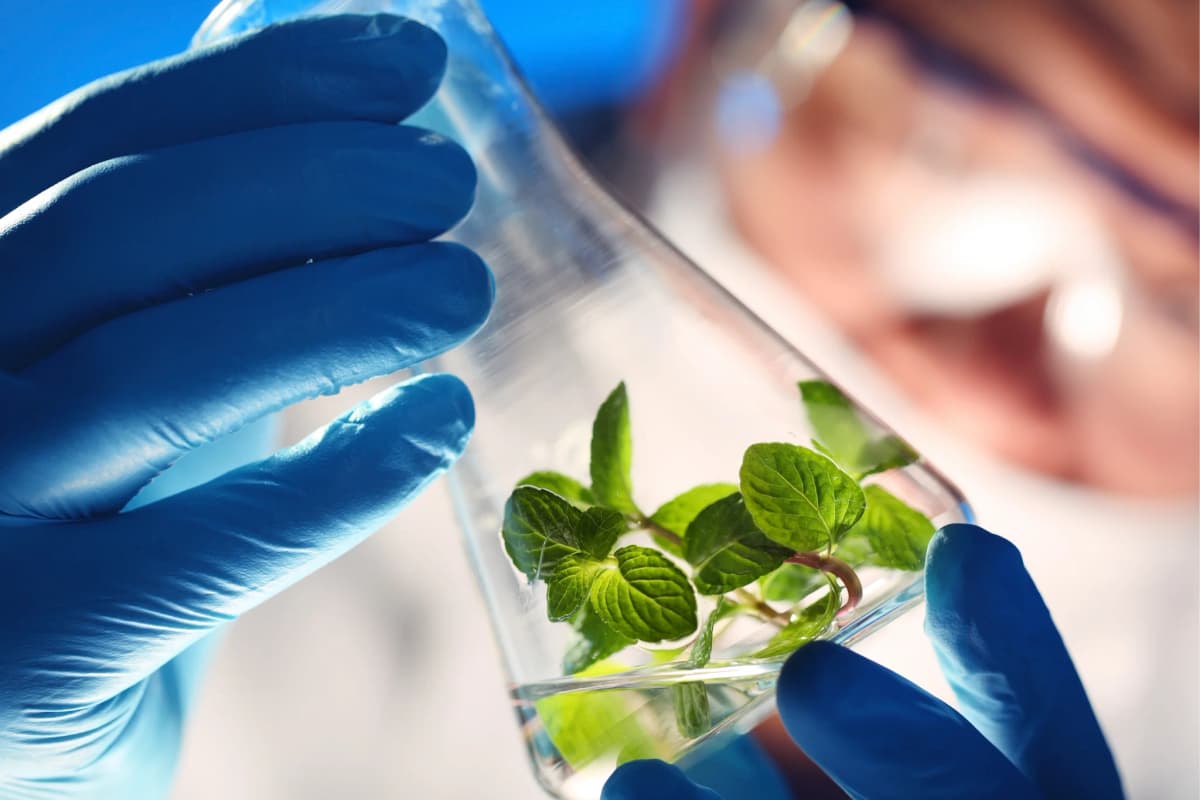 Eco-friendly chemical solutions
