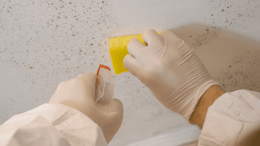 Chemical remediation products